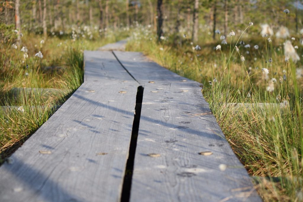 Ihmisyyden koti pitkospuut